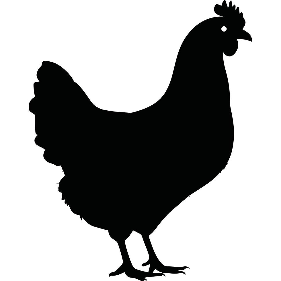A black and white silhouette of a chicken vector