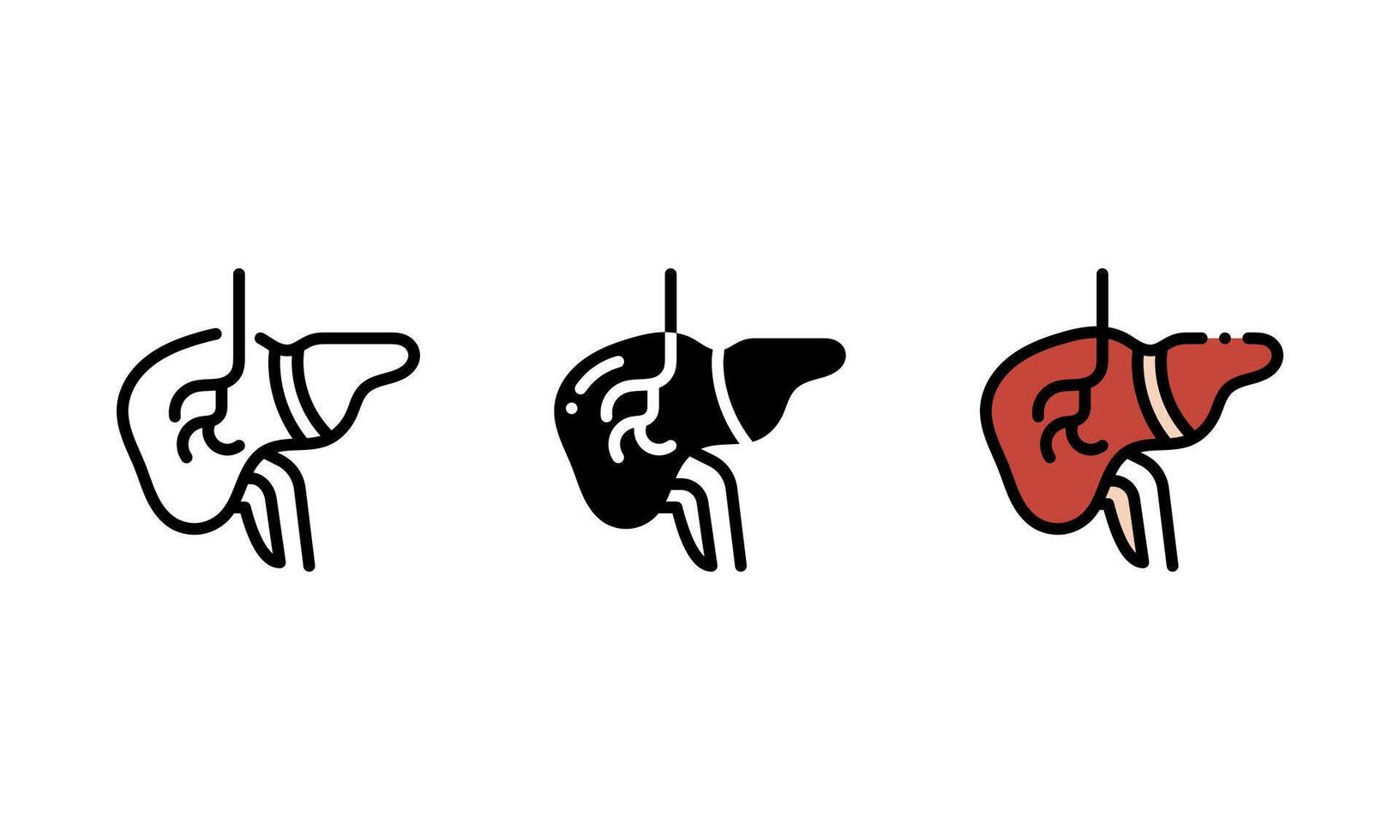 Human anatomical liver Icon. with outline, glyph, and filled outline style vector