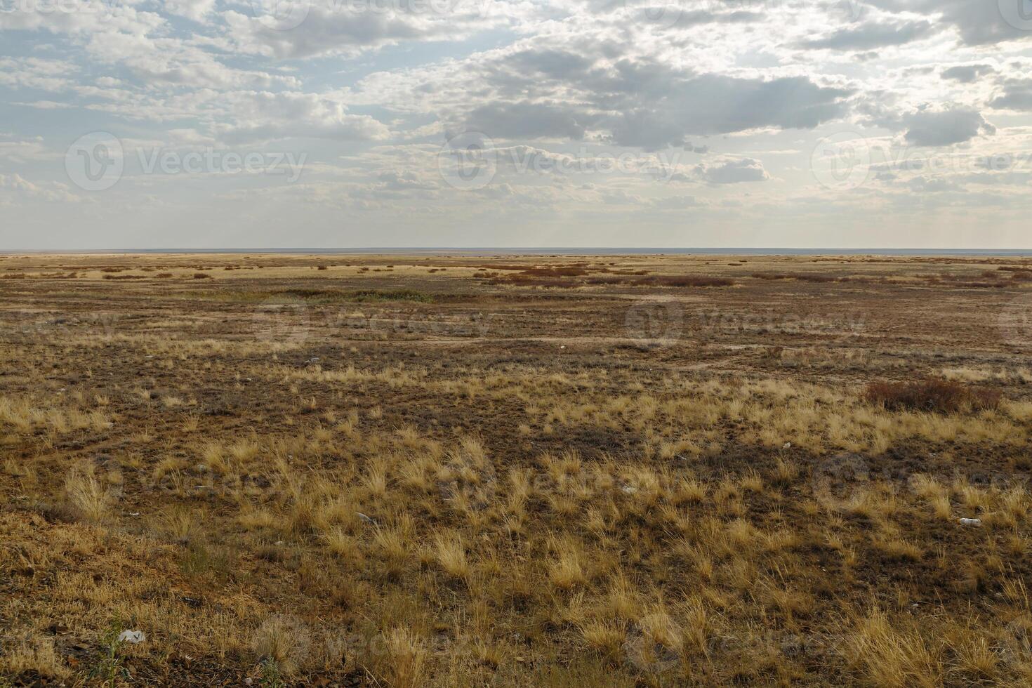steppe in Kazakhstan photo