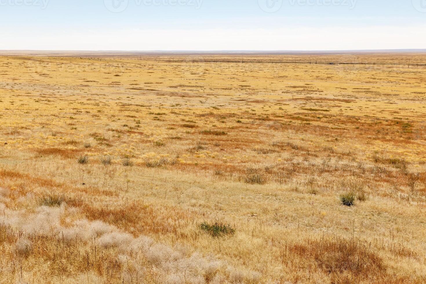 Mongolian steppe in autumn photo