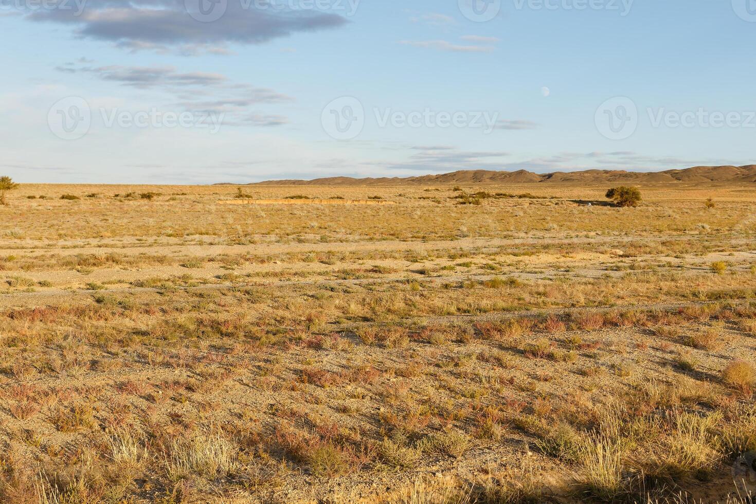 gobi desert mongolia photo