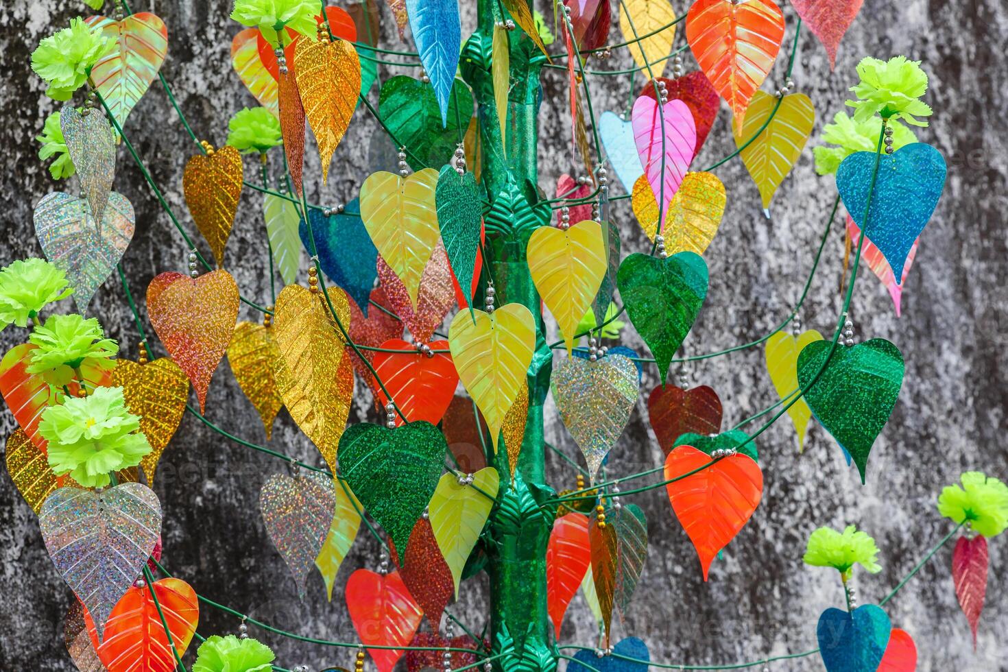 colorful leaves of bodhi tree photo