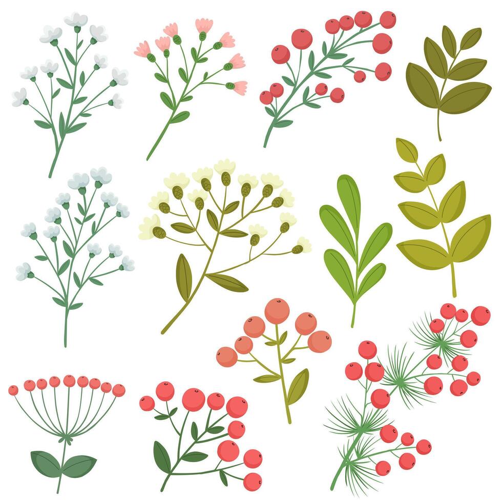 Collection of branches with flowers and branches with berries, botanical isolates in flat style. Christmas berries and branches. vector