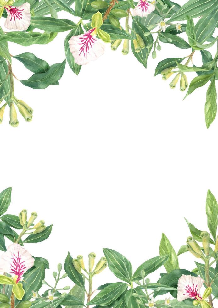 Watercolor green climbing leaf branches vertical frame. Pepper twig, clove plant with buds, cardamom with white flowers illustration. Copy space for text. Celebrate border for greeting card vector