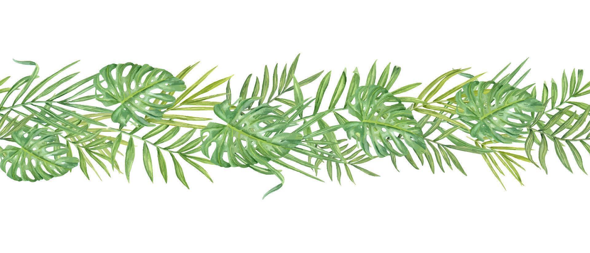 Watercolor tropical green leaves horizontal seamless banner isolated on white background. Hand painted palm, Areca, Cycas and monstera foliage pattern for textile, holiday package, kitchen canvas vector