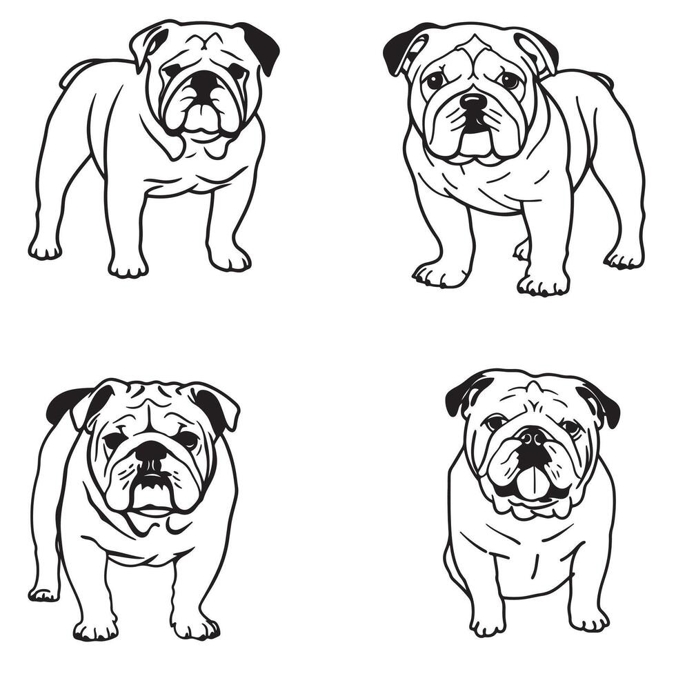 Bulldog Valor. Bulldog Icon. vector