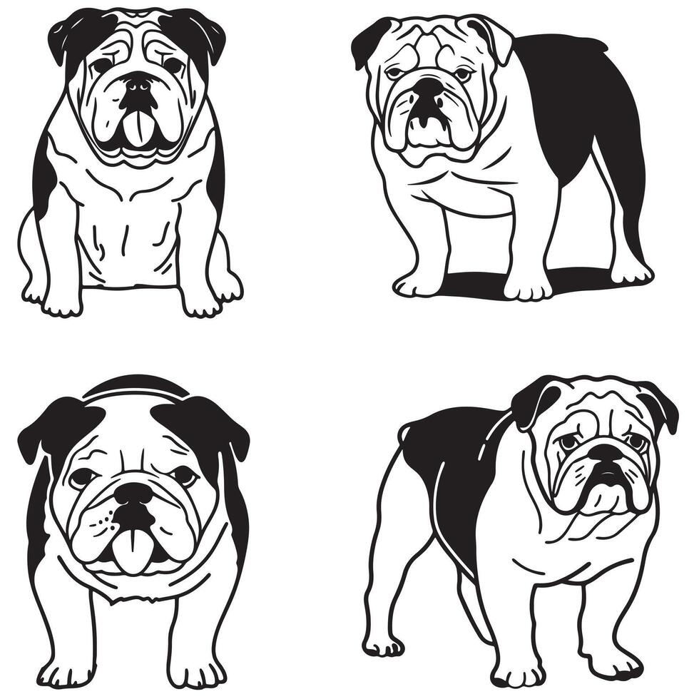 Bold Bulldog. Bulldog Pride. vector
