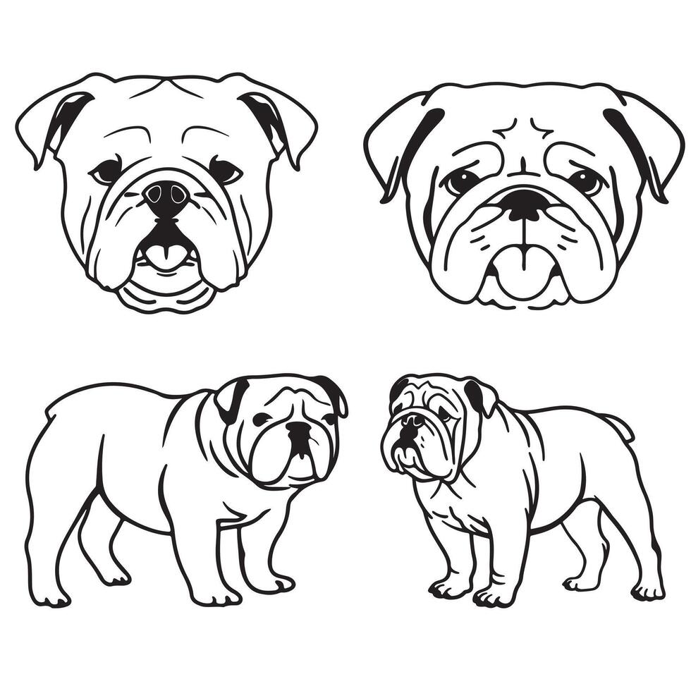 Bulldog Icon. line art Bulldog Icon vector