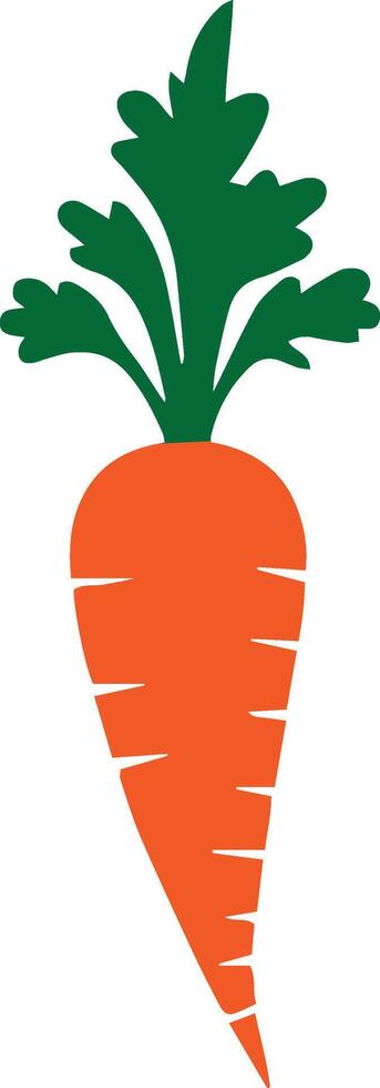 Carrot in colors hand drawn isolated for juice and soup on white background. vector