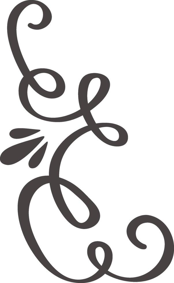 Hand drawn flourish creating a decorative element, enhancing invitations, stationery, and various design projects with its elegant curves and artistic flair vector