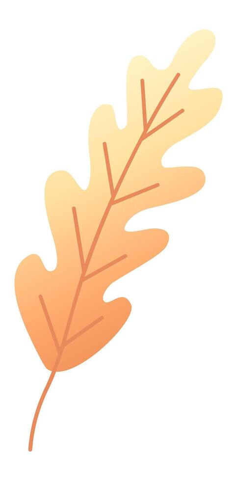Single stylized oak leaf with gradient orange color scheme symbolizing the transition from summer to fall, evoking feelings of warmth and seasonal change vector
