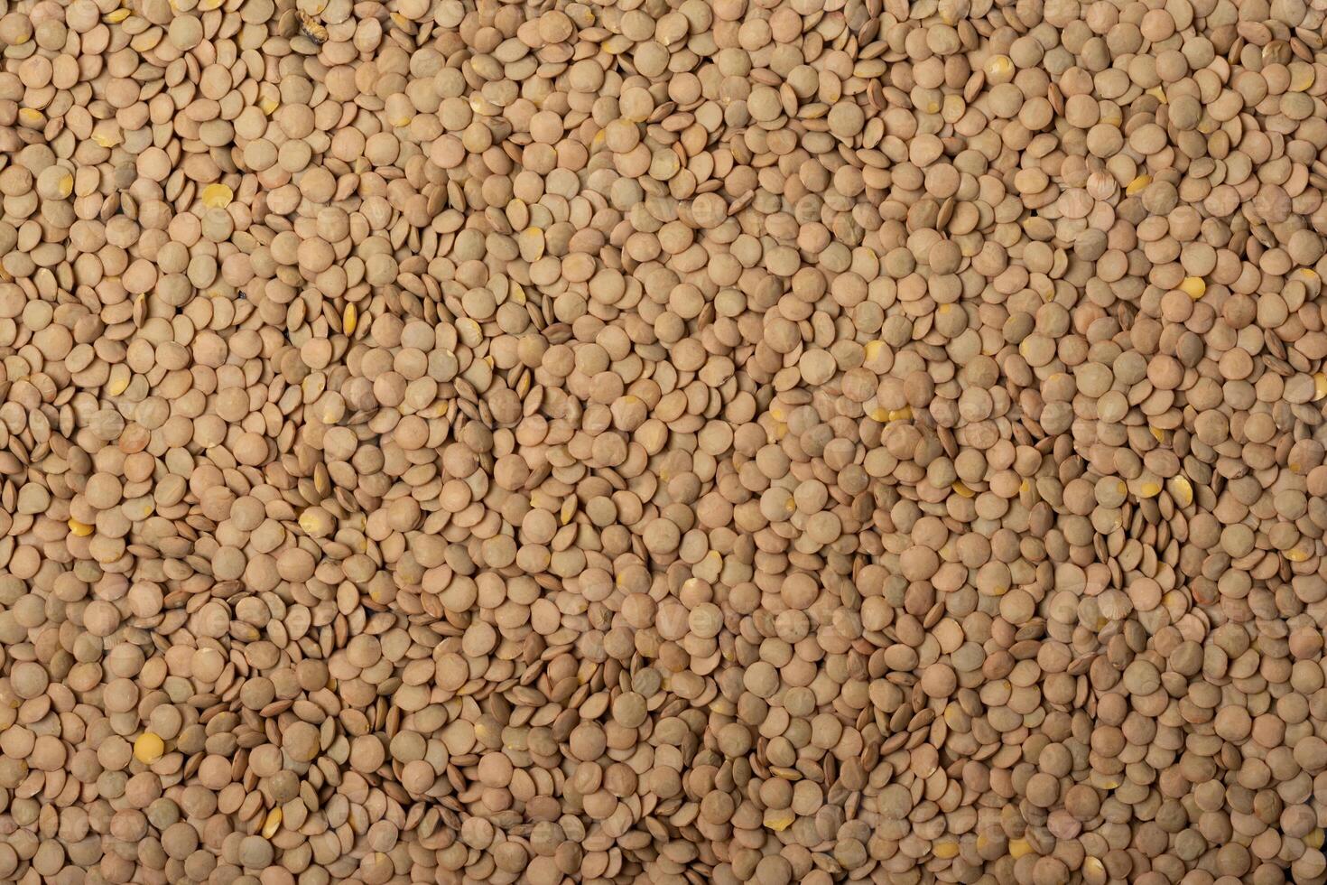 Lentil close up texture pattern background photo