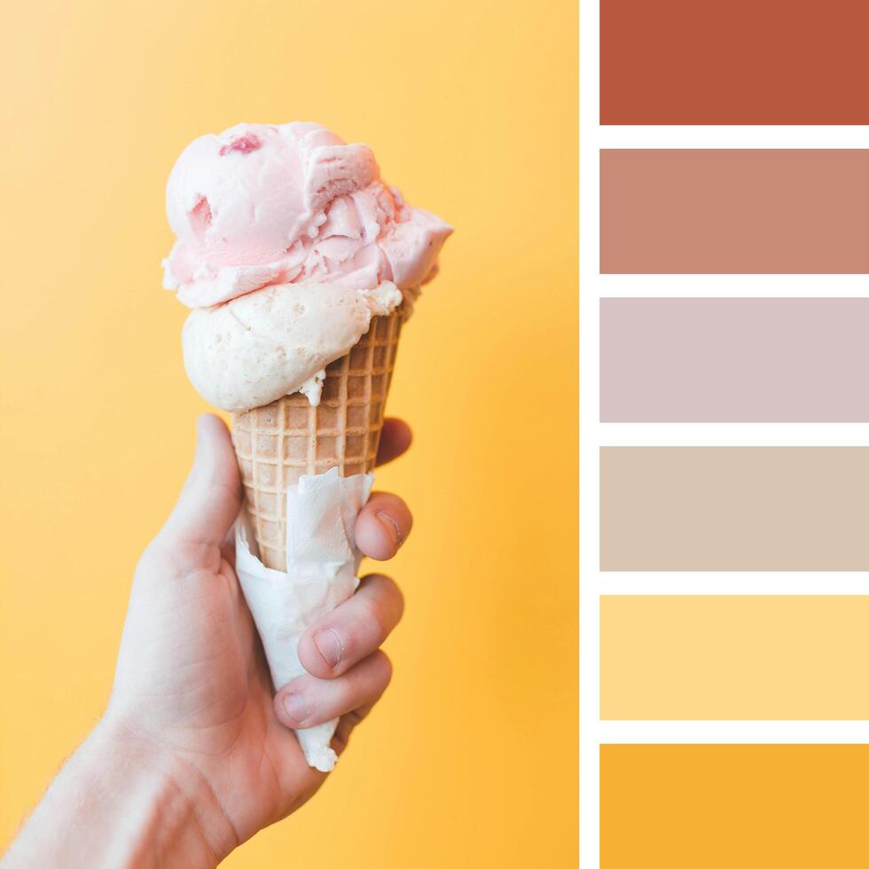 Delicious food with color palette with complimentary color swatches. photo