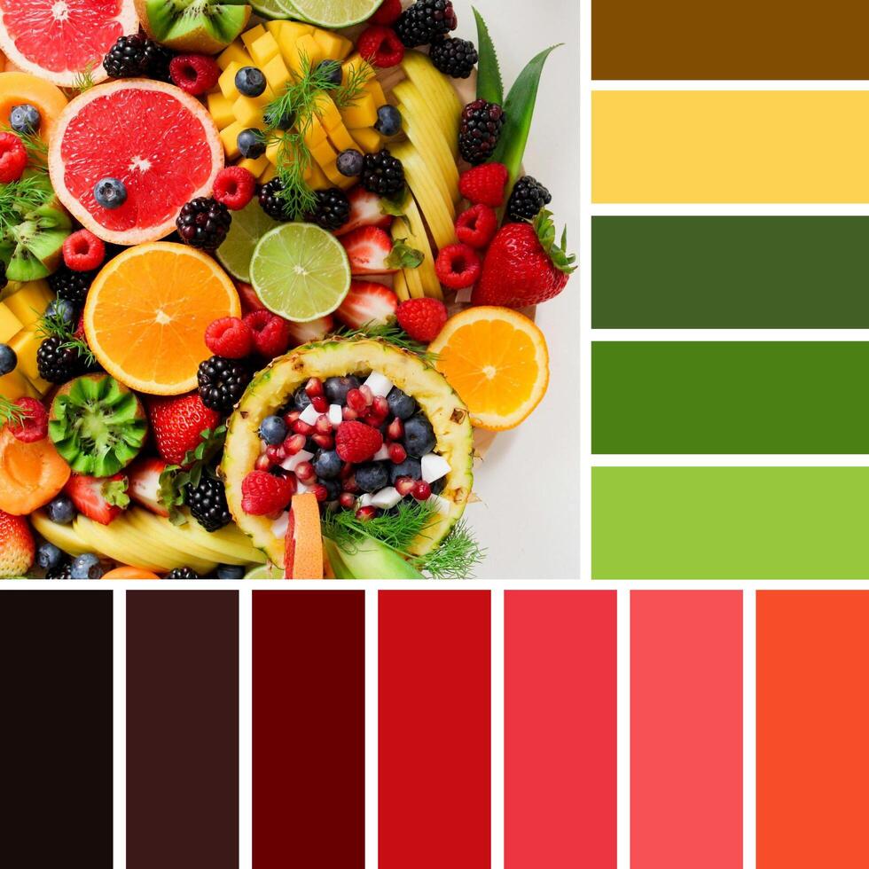 Delicious food with color palette with complimentary color swatches. photo