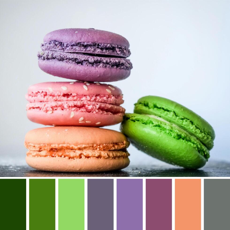 Delicious food with color palette with complimentary color swatches. photo