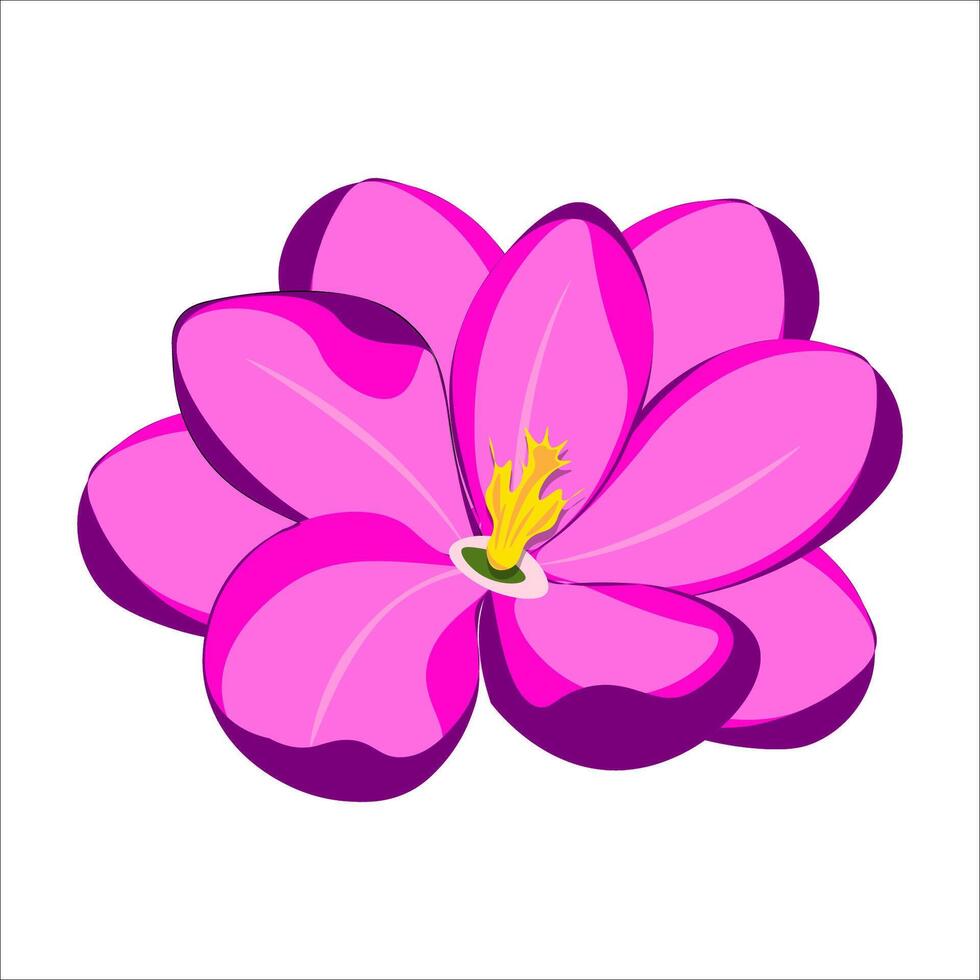 Exotic pink flower with a yellow center. Isolated illustration on white background. vector