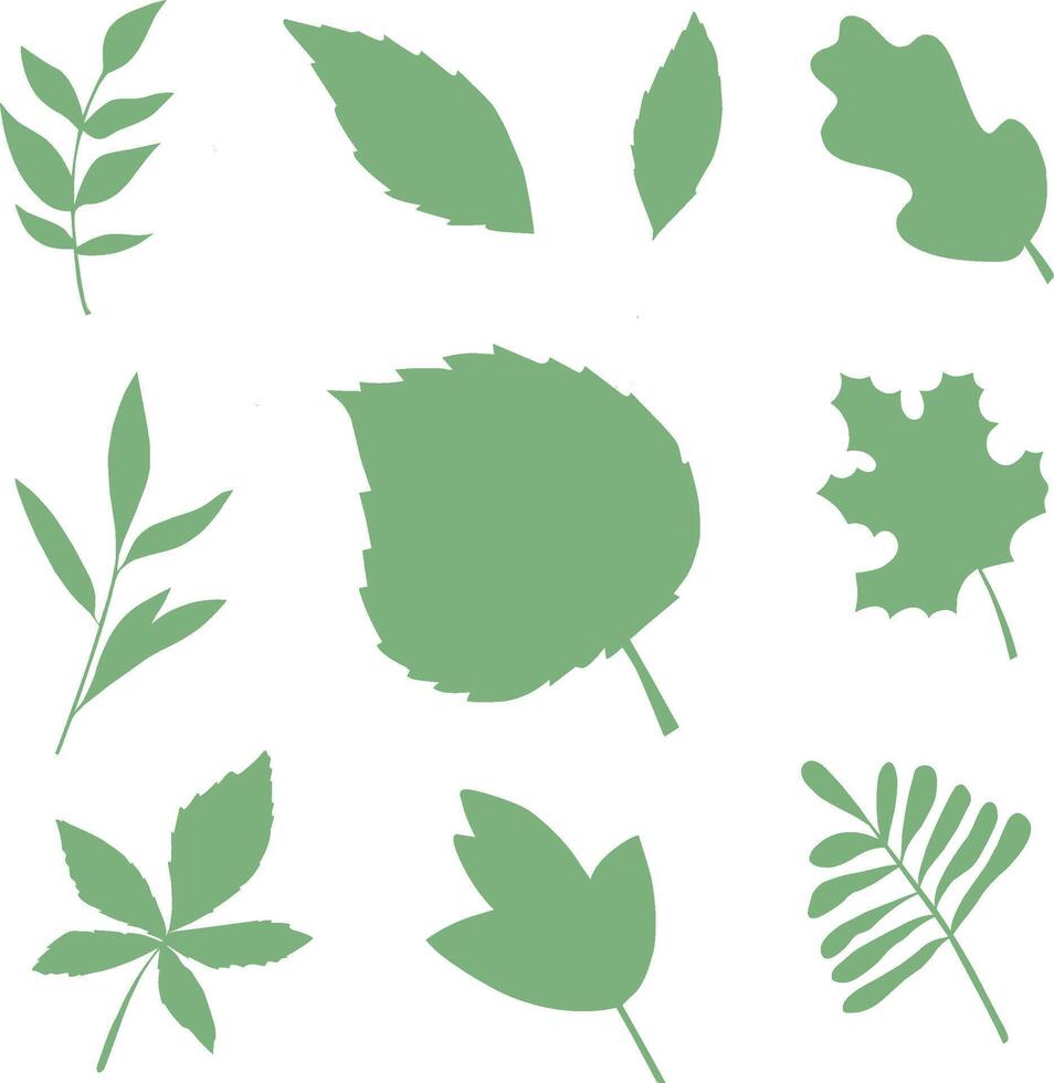 Set of leaves elements. Collection botanical isolated on white background vector