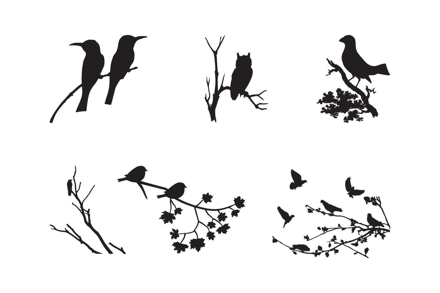 Silhouettes of Birds in Flight and Perch. vector
