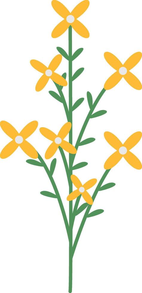 Summer Floral Blossom with Yellow Color vector