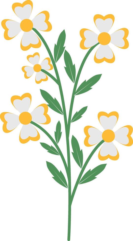 Spring Floral Flower with White Color vector