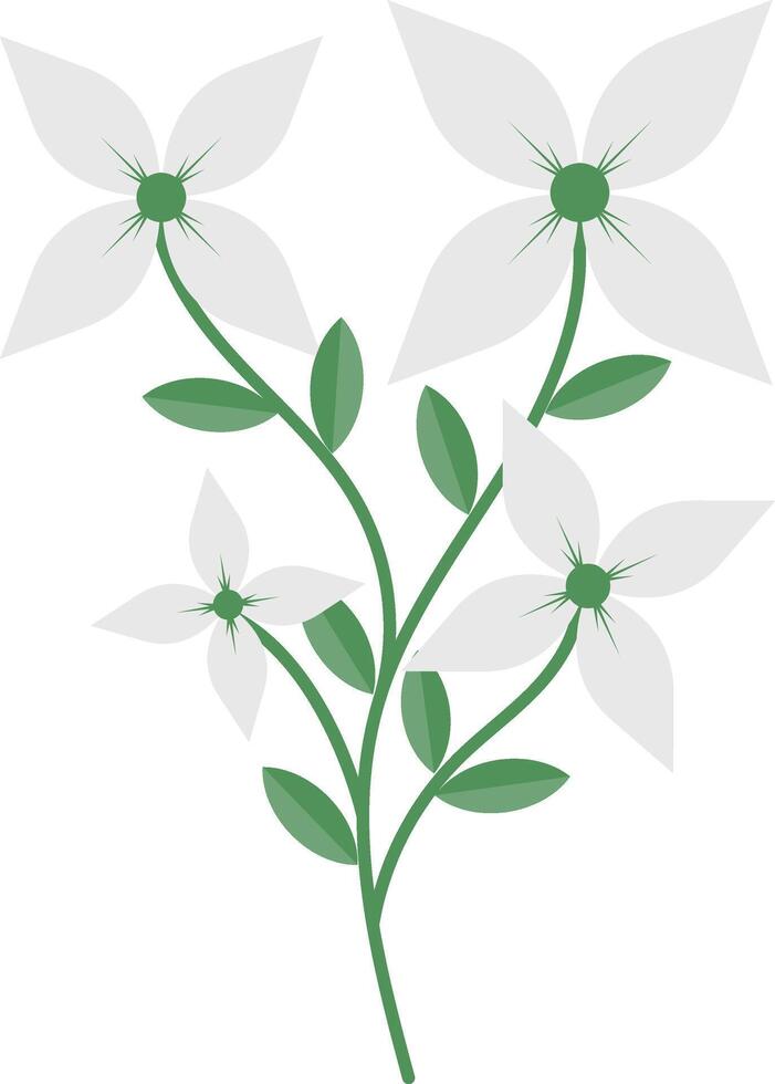 Spring Floral Flower with White Color vector
