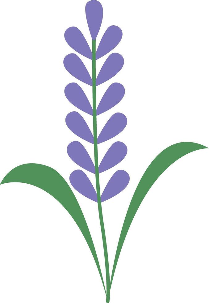 Spring Floral Blossom in Purple Color vector