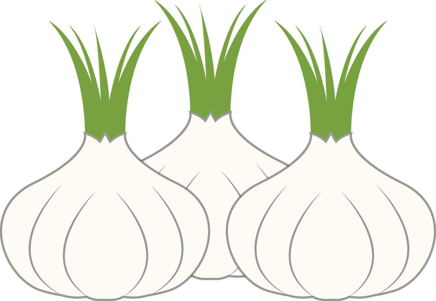 Three Garlic Illustration vector