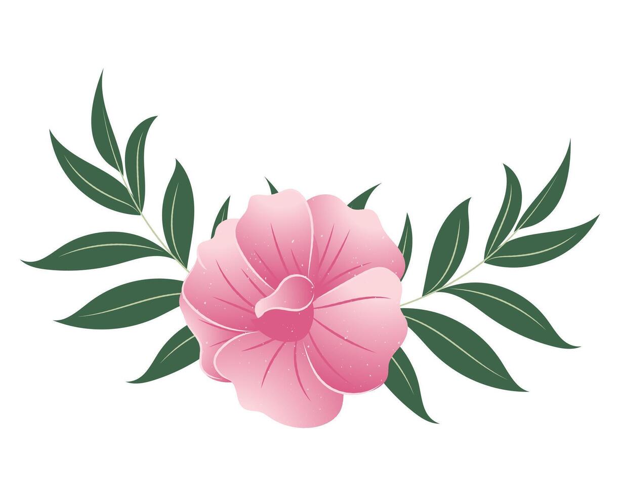 pink flower isolated on white vector