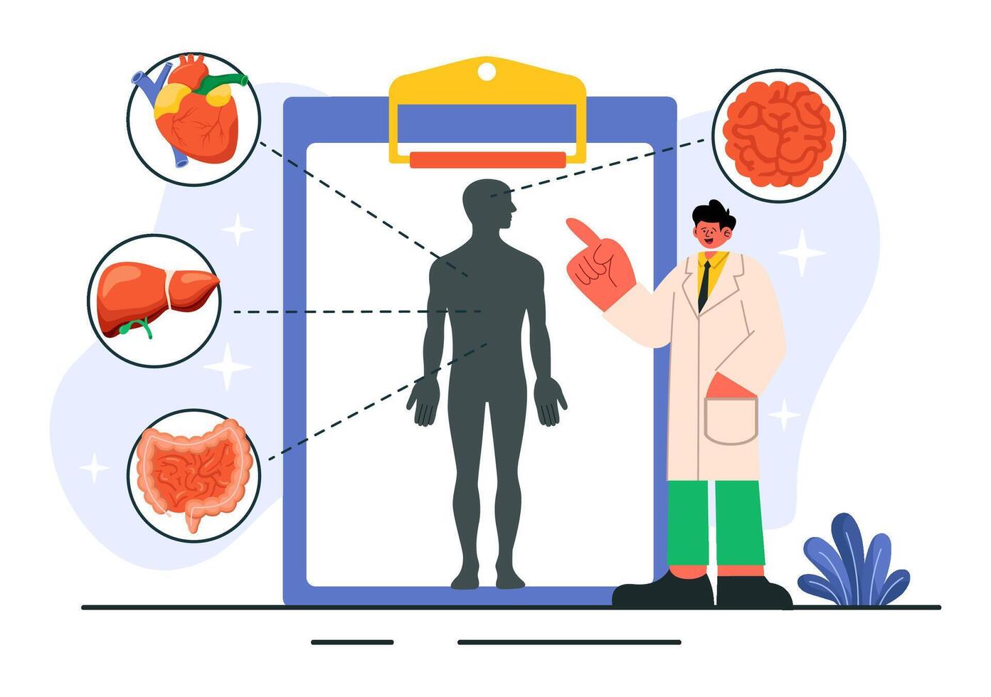 Body Imaging Illustration with X-ray and MRI Scanning for Health Diagnostics in Flat Style vector
