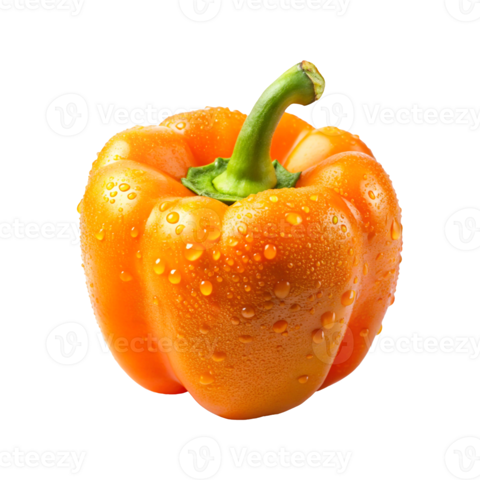 A pepper with water droplets on it and a transparent background png
