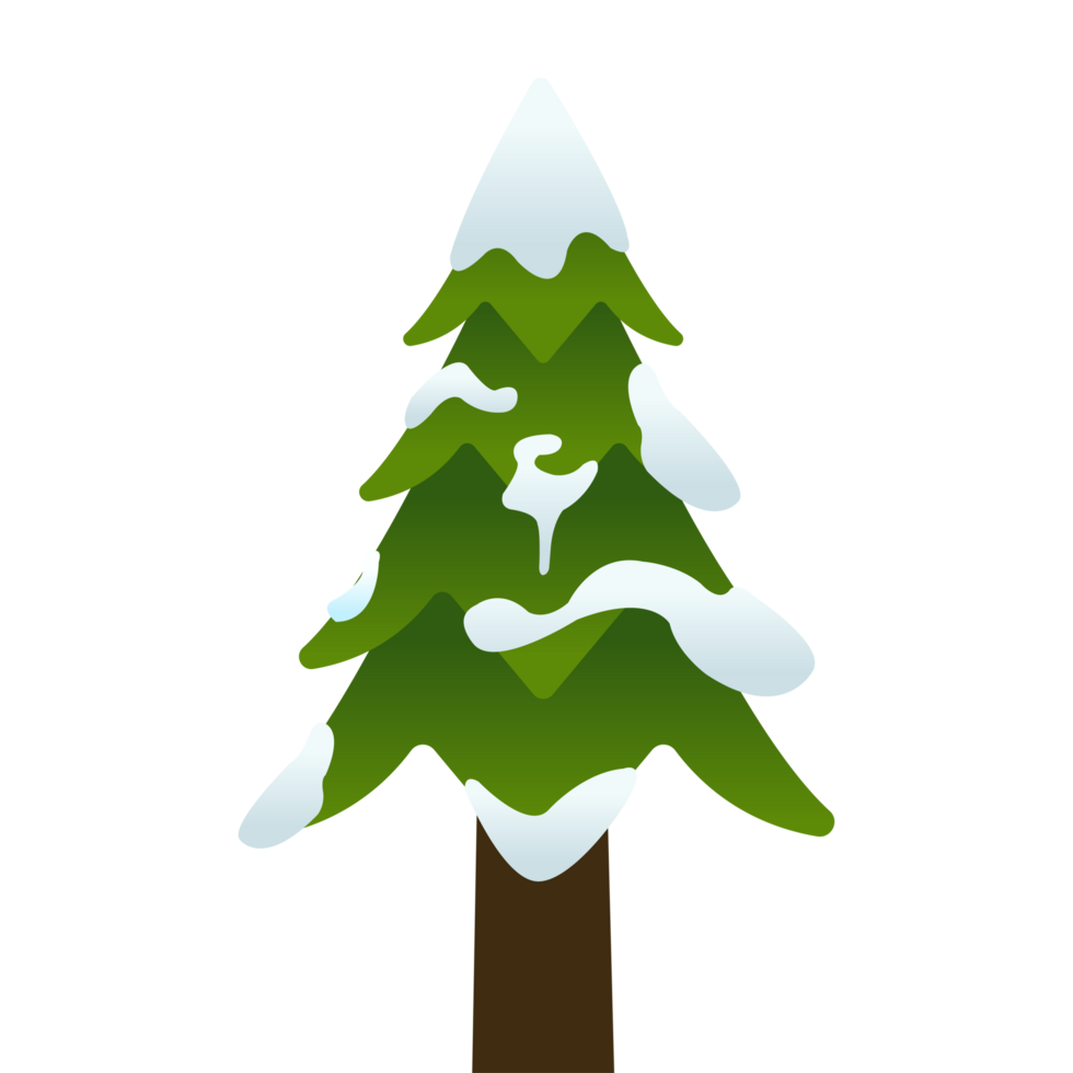 Pine Tree with Snow for Winter Season on Blue Background png