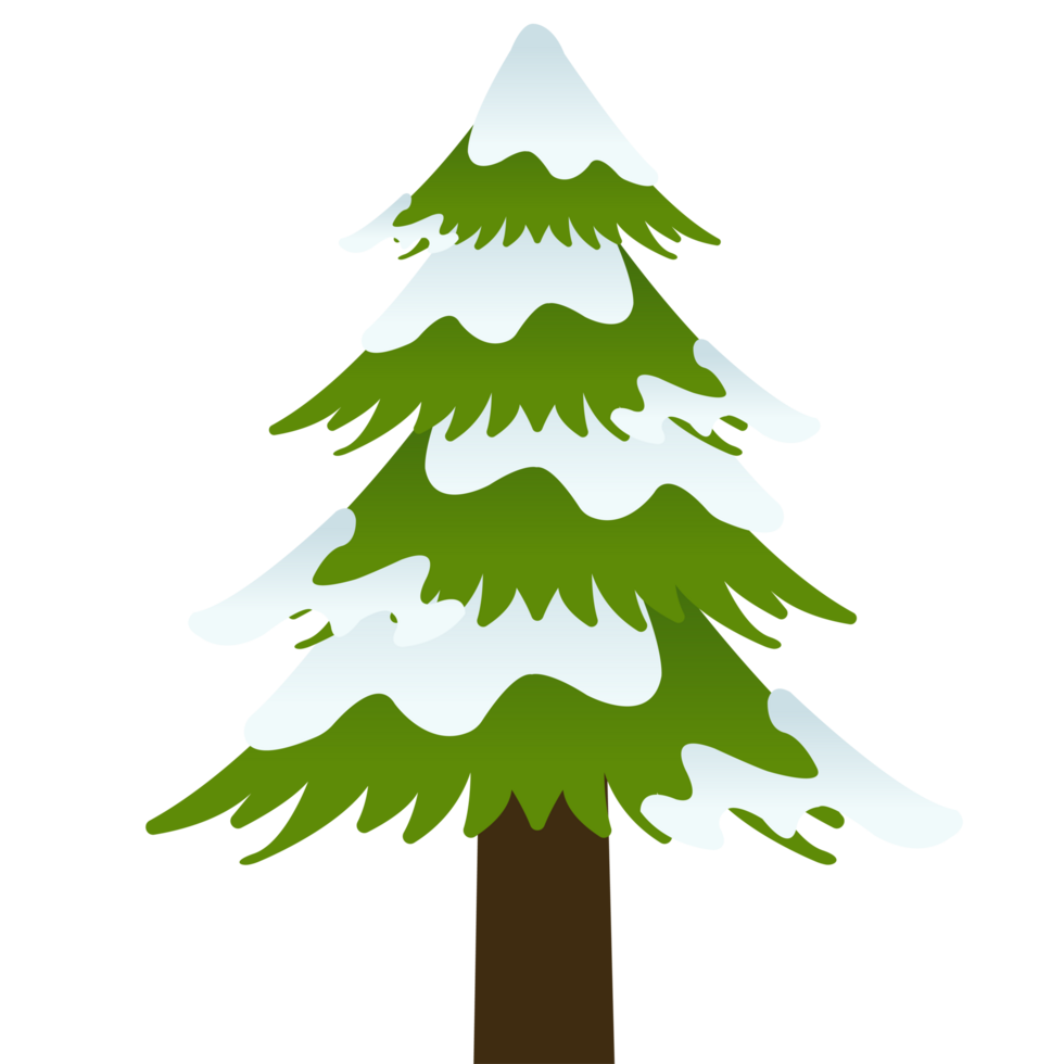 Detailed Big Pine Tree Pinus with Snow for Winter Season on Blue Background-01 png