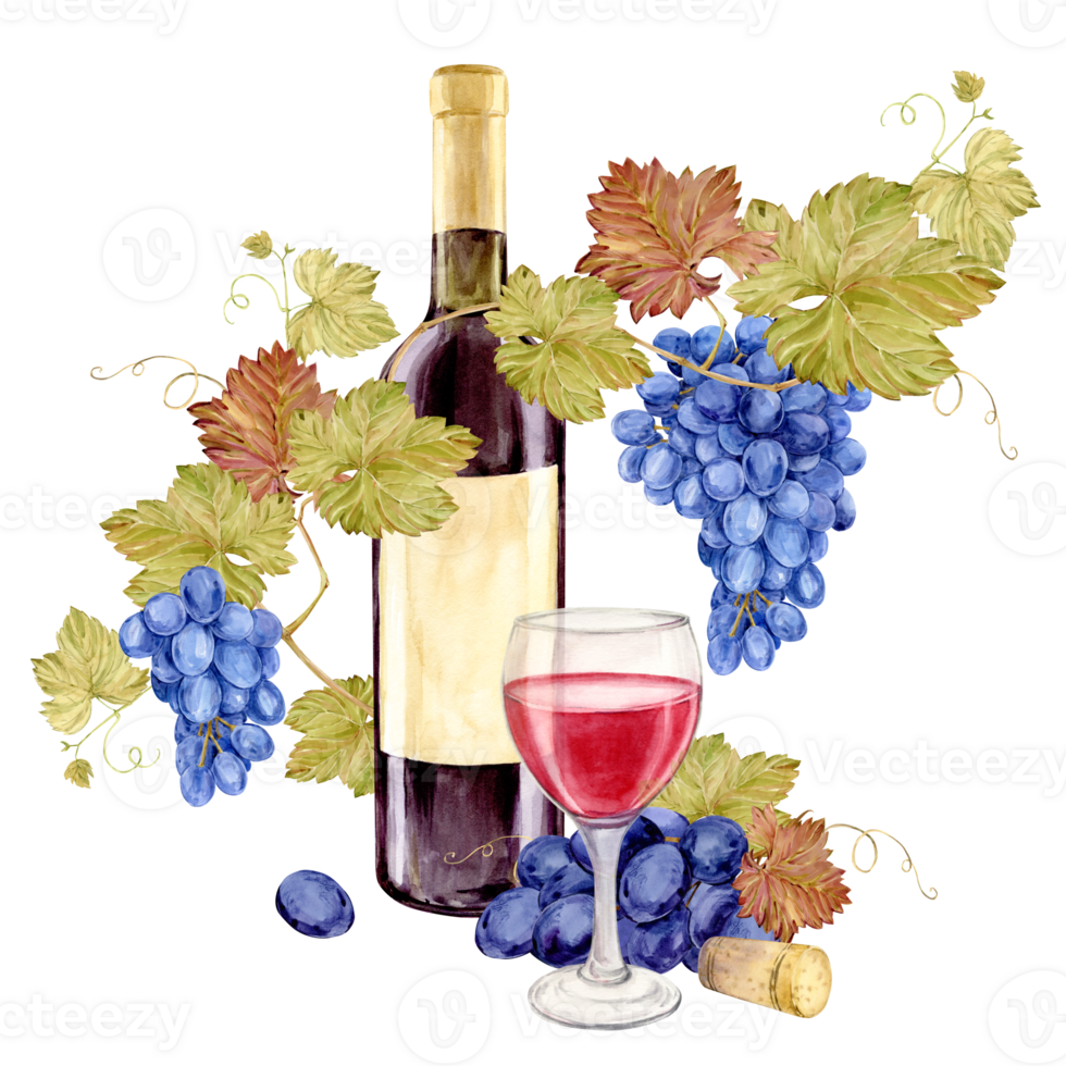 Watercolor red wine bottle with old paper label. Hand drawn clipart of alcoholic drink for party and event. Illustration for tasting, menu, cafe, bar, posters and wine list design. png