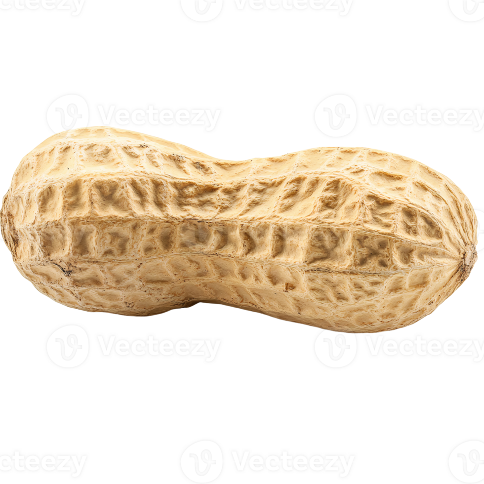 Peanut isolated on transparent background png