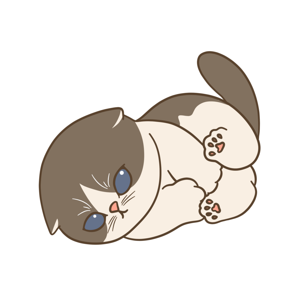cute lazy cat illustration png