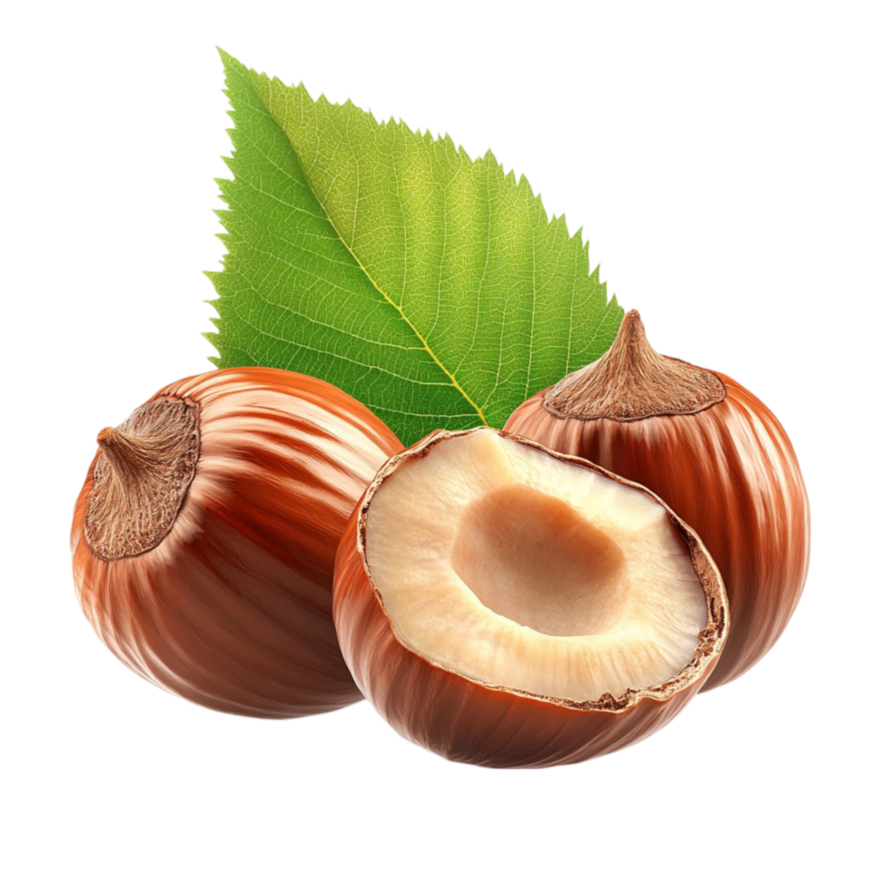 Hazelnut with Leaves on Transparent Background png