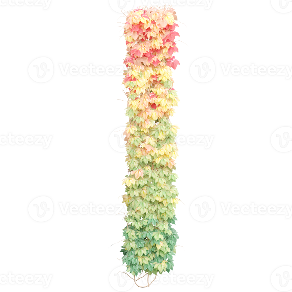 Beautiful plant in 3d rendering isolated canvas png