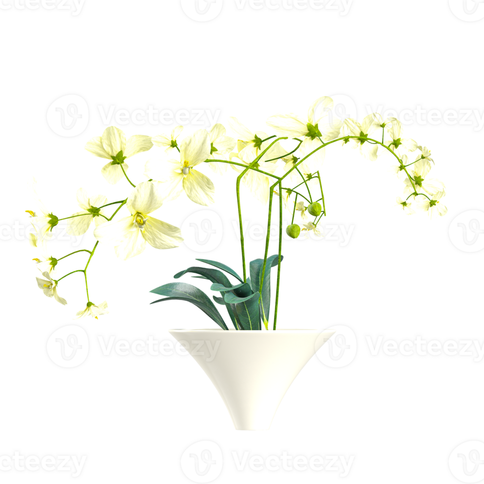 3d illustration of Dancing-lady Orchid in planter isolated on transparent canvas png