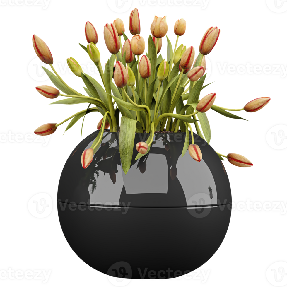 3d Rendering Of Garden tulip plant in planter on Transparent Canvas png