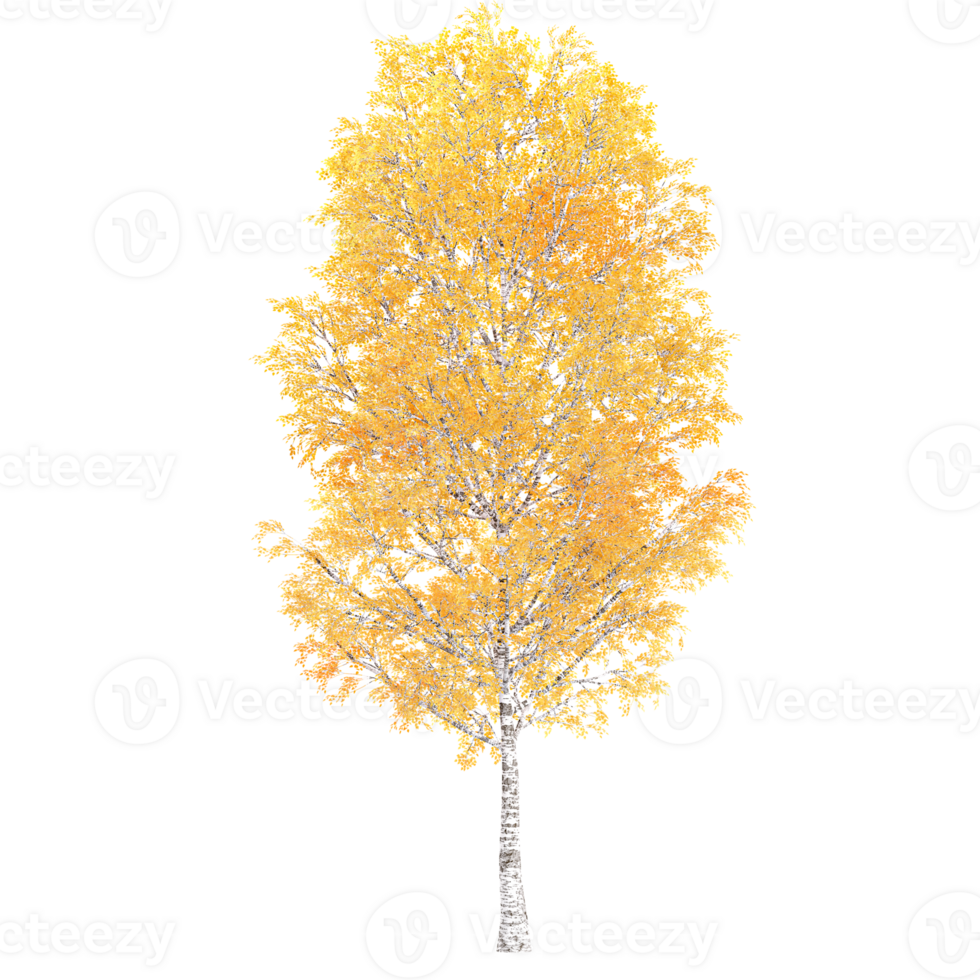 3d rendering of Autumn tree isolated on transparent Canvas png