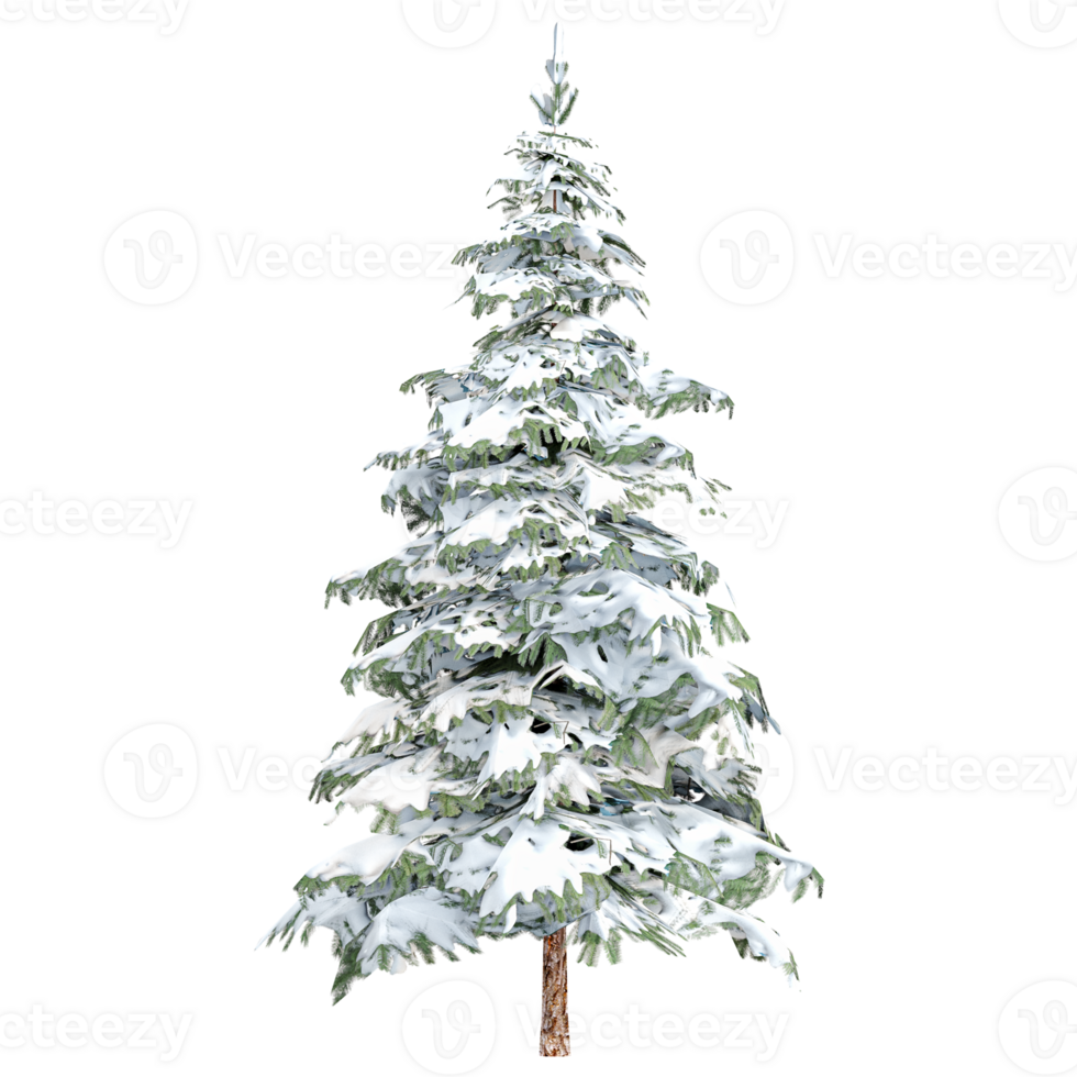 3d rendering of winter pine snowy tree isolated on transparent Canvas png