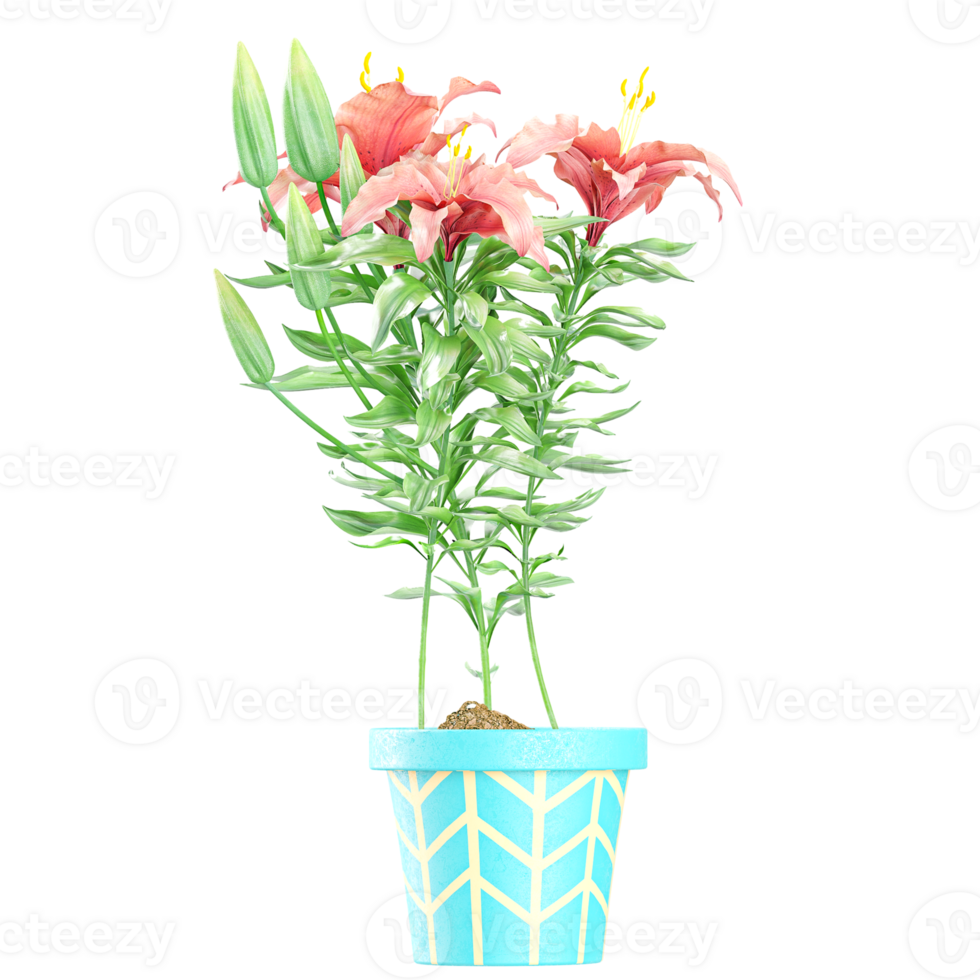 3d illustration of Tiger lily plant in planter isolated on transparent canvas png