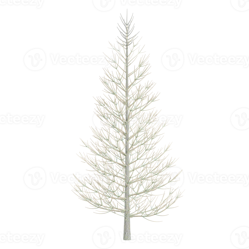 3d illustration of dry tree isolated on transparent canvas png