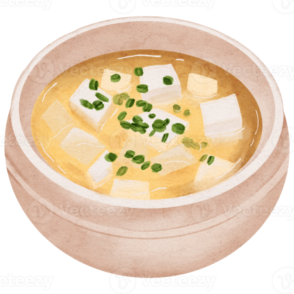 Illustration of Tofu Miso Soup in a Bowl png