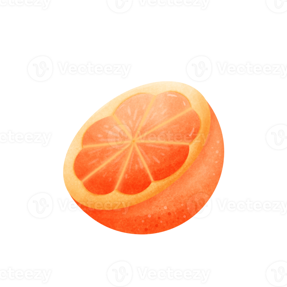 A vibrant illustration of a juicy sliced half, showcasing its bright color and fresh texture against. png