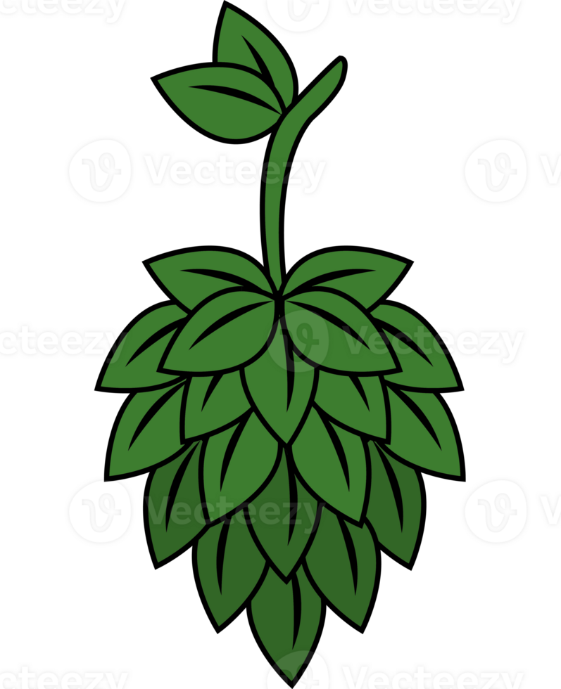 A green hops plant icon png