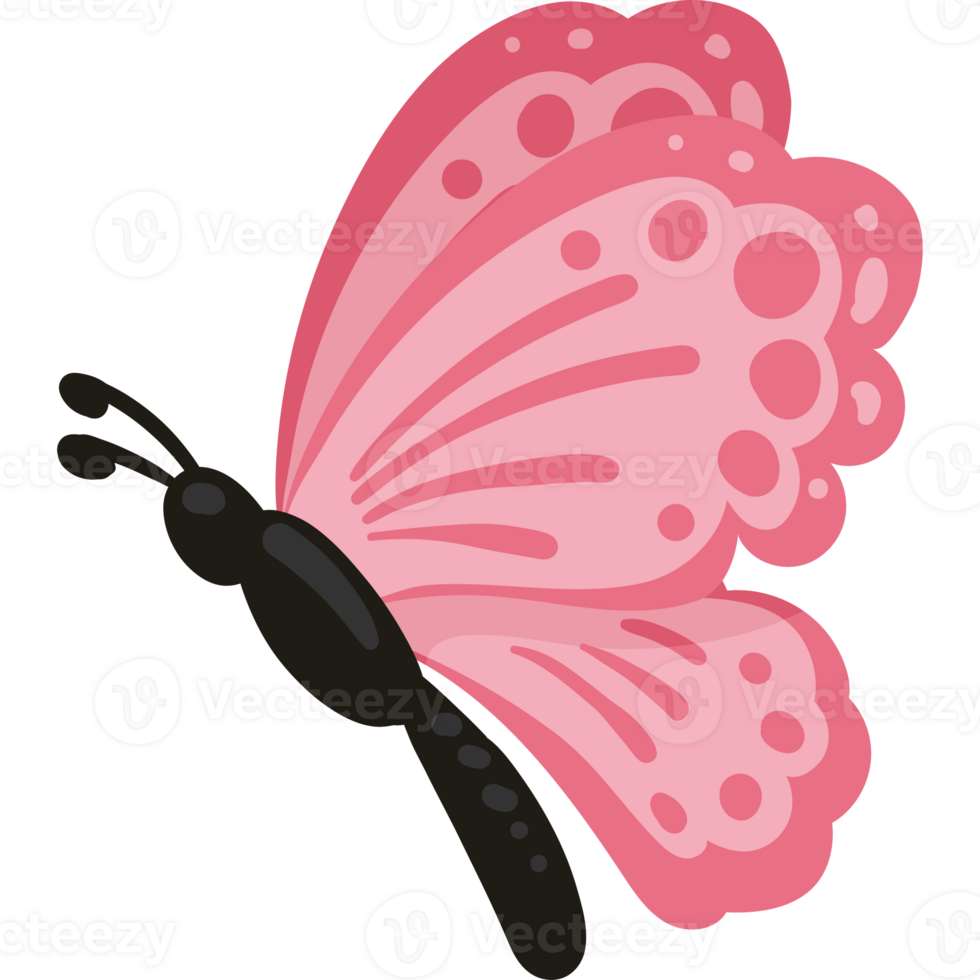 butterfly pink color illustration isolated png