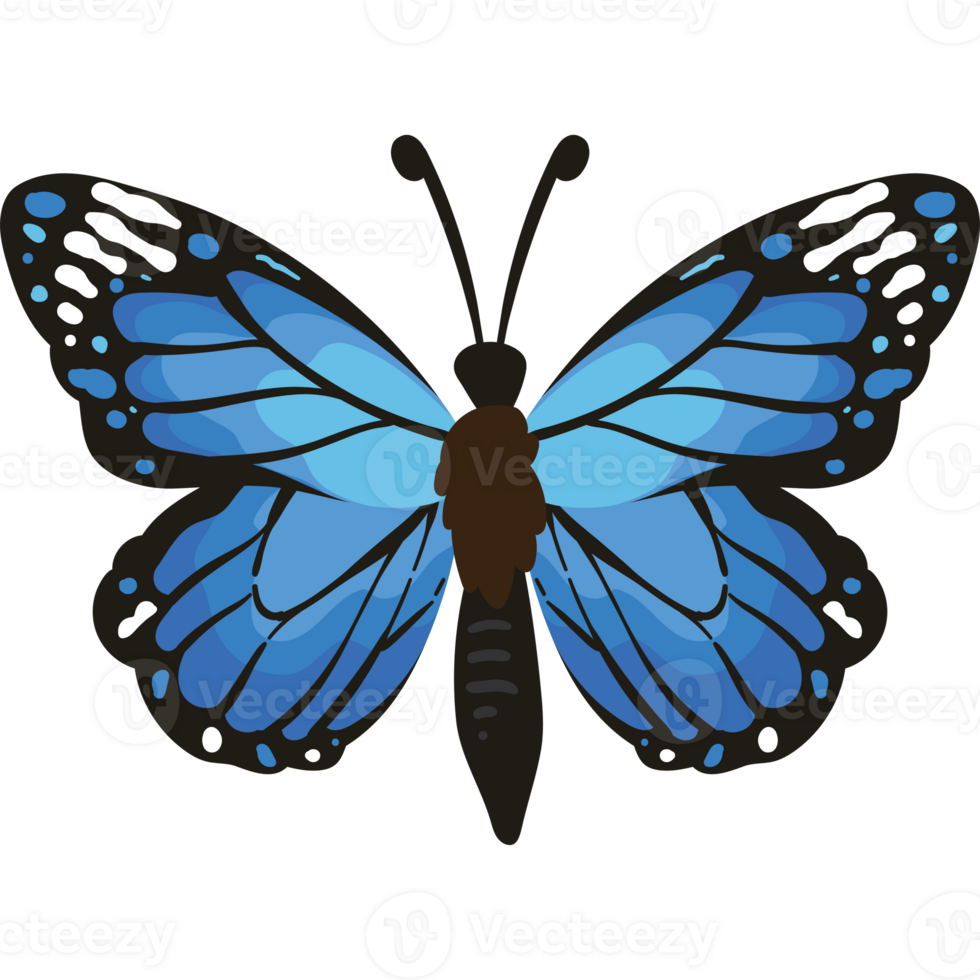butterfly insect isolated illustration design png