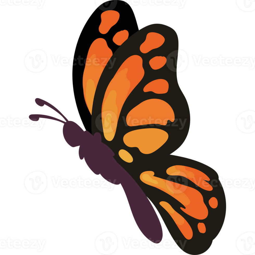 butterfly wild isolated illustration design png