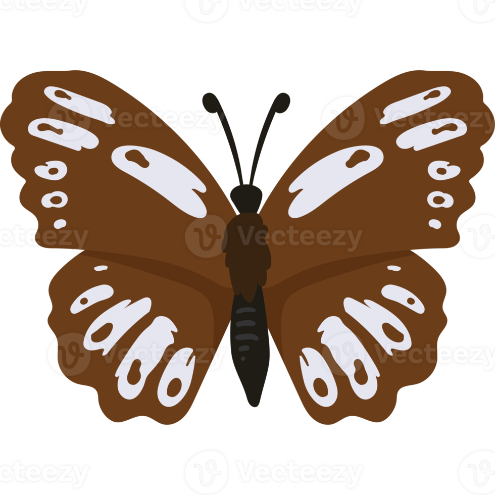 butterfly insect illustration isolated png